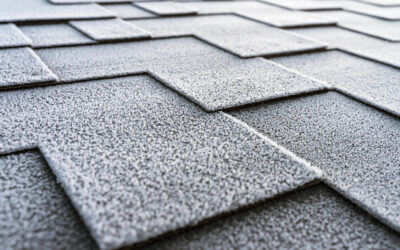 Asphalt vs Metal Roofing in Winnipeg
